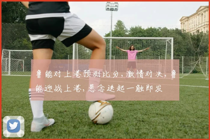 鲁能对上港预测比分,激情对决,鲁能迎战上港,悬念迭起一触即发